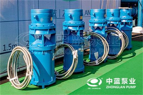 轴流泵 潜水轴流泵 中吸式轴流泵限时折扣 qsz轴流泵 qsh轴流泵厂家