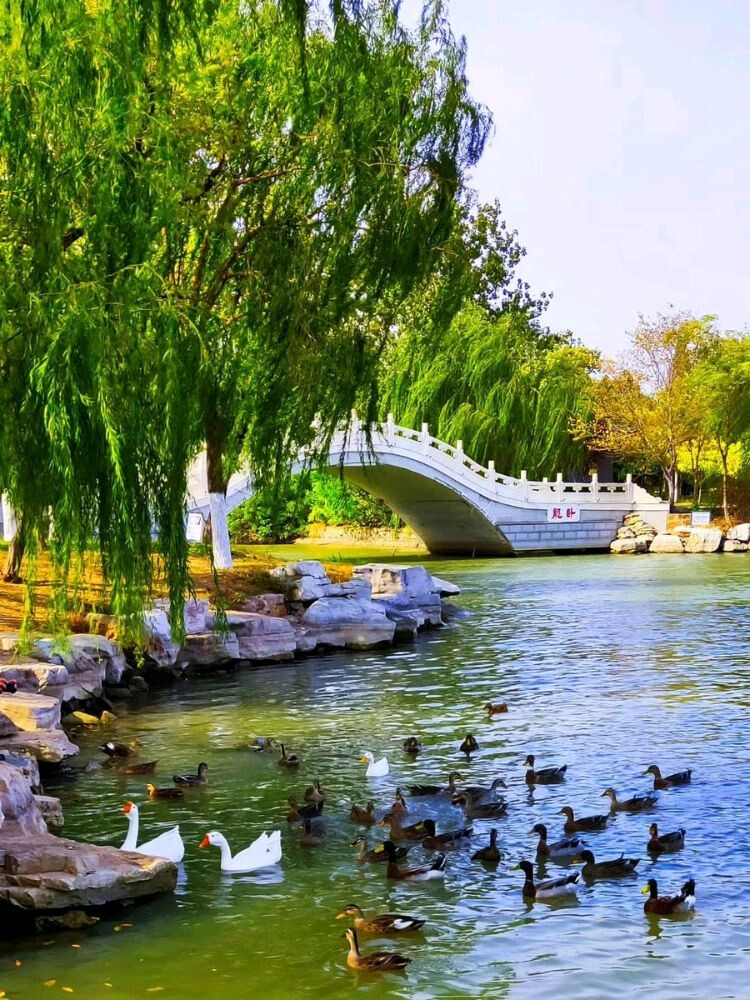 天津水上公园